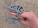Модель головы тиранозавра для пальцев