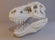 Модель головы тиранозавра